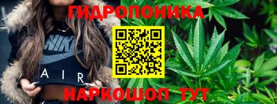 стафф Бузулук