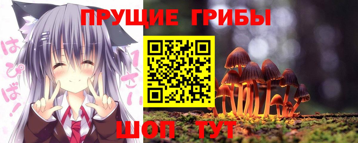 Галлюциногенные грибы Psilocybine cubensis Люберцы